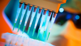 The Covid 19 Vaccine