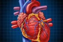 Heart Conditions